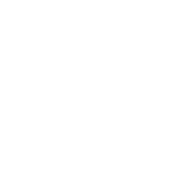 White pixelated cross on a black background.